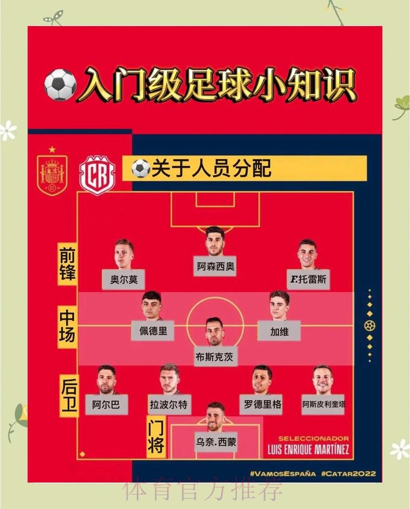 世界杯外围应用与全站平台的最佳选择指南